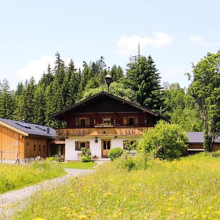 Going Artenreich Going am Wilden Kaiser Zewnętrze zdjęcie